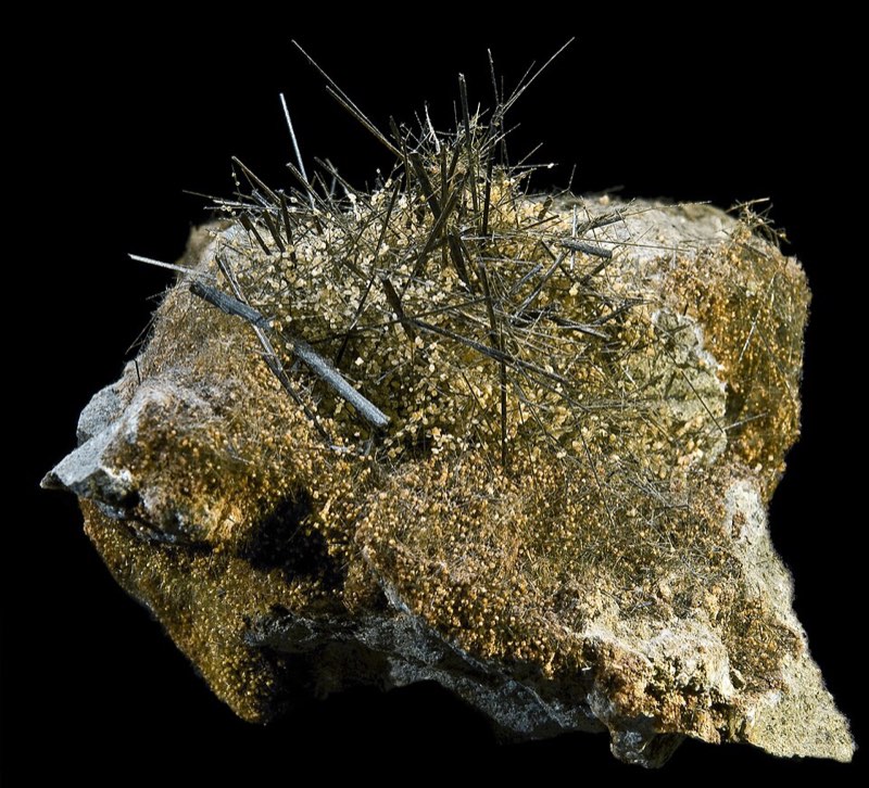 Actinolite specimen