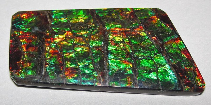 Ammolite specimen