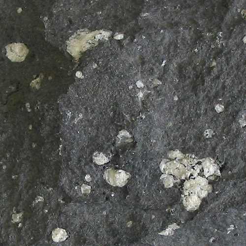 Andesite specimen
