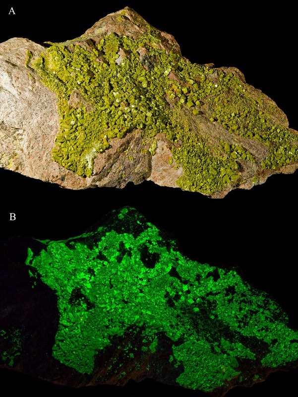 Autunite specimen