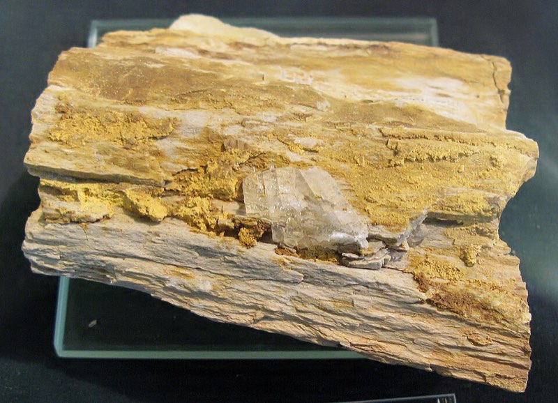 Carnotite specimen