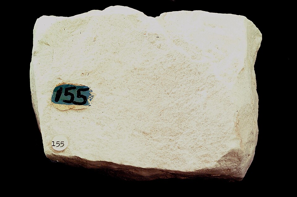 Chalk specimen