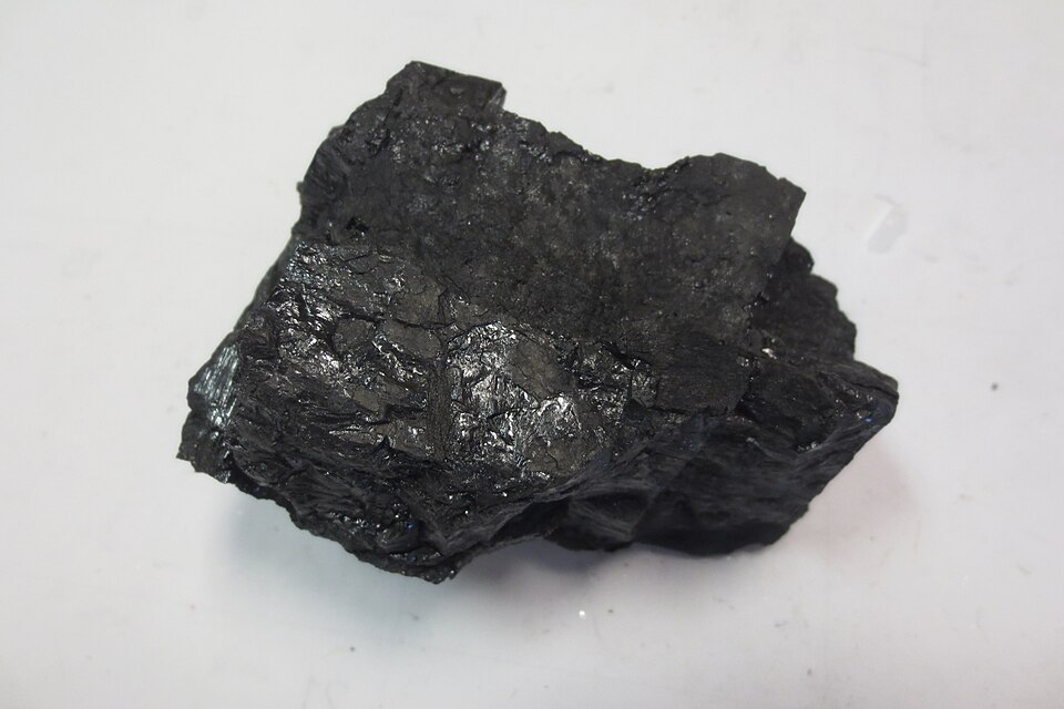 Coal specimen
