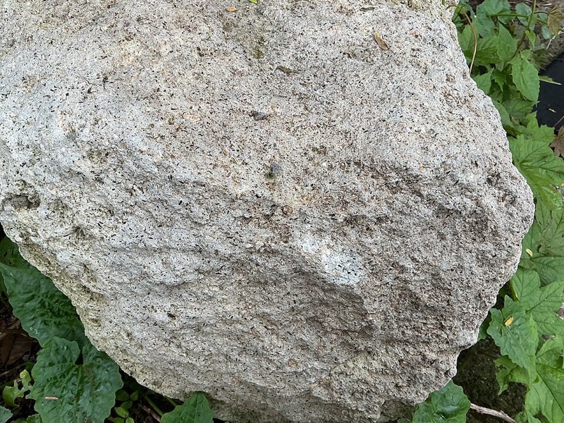 Dacite specimen