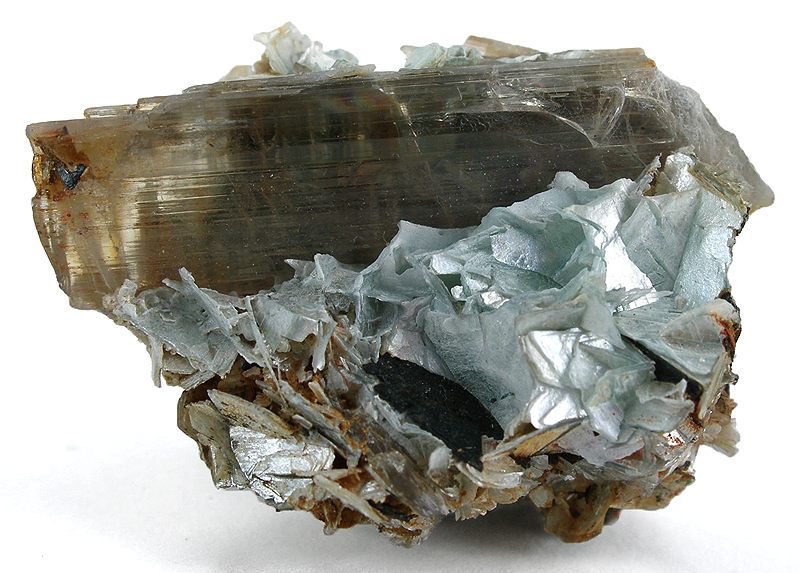 Diaspore specimen