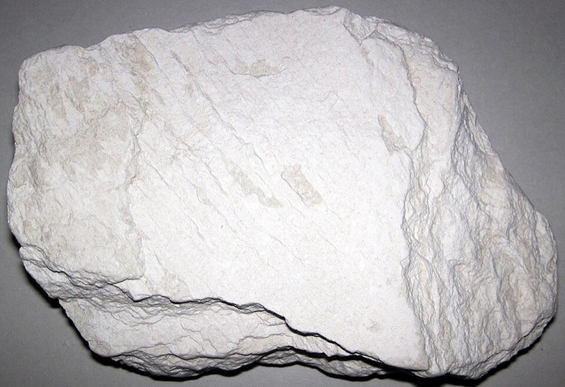 Diatomite specimen