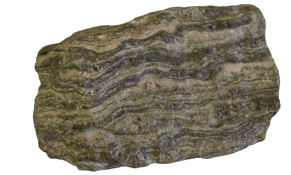 Gneiss specimen