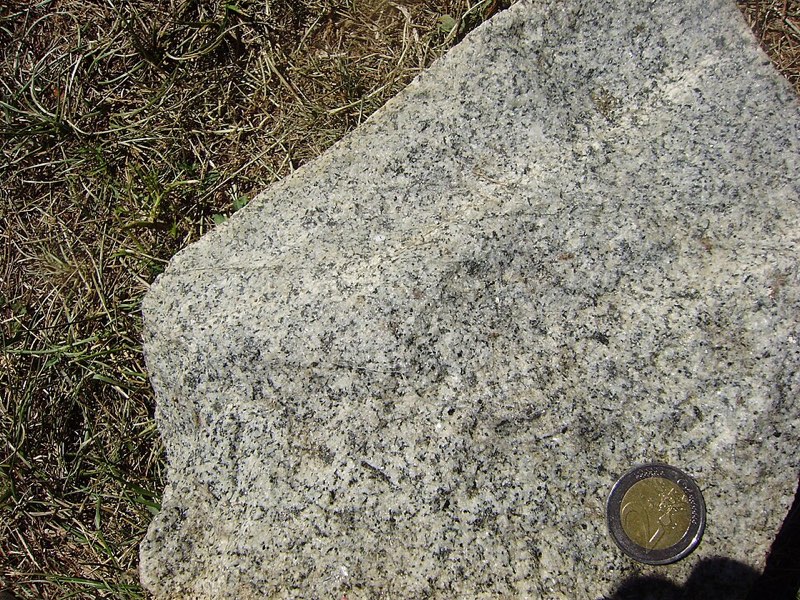 Granodiorite specimen