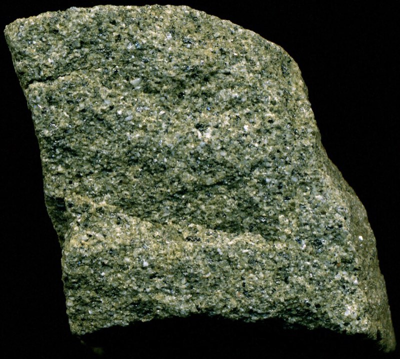 Greywacke specimen