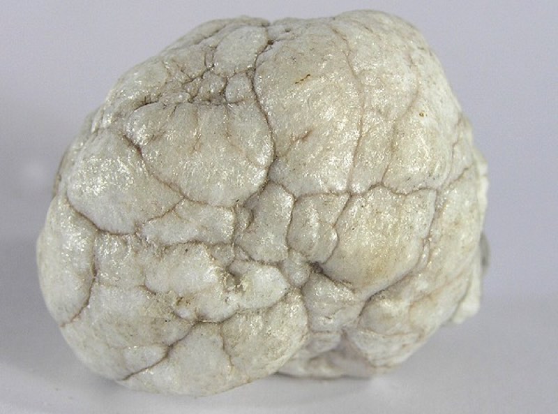 Howlite specimen