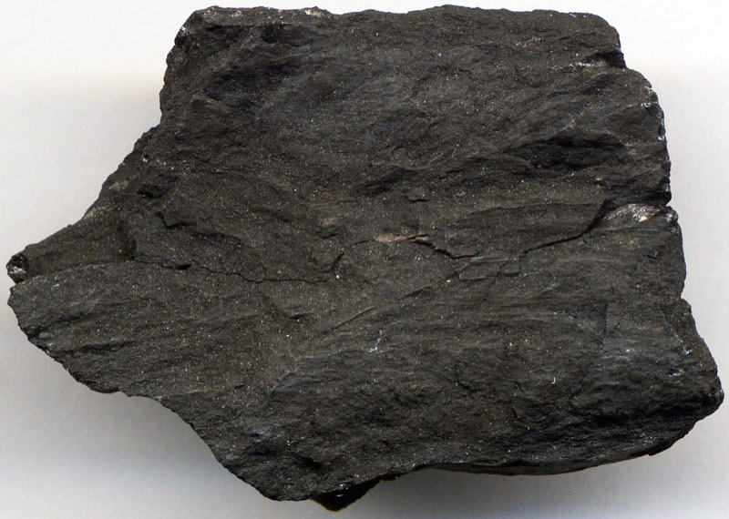 Lignite specimen