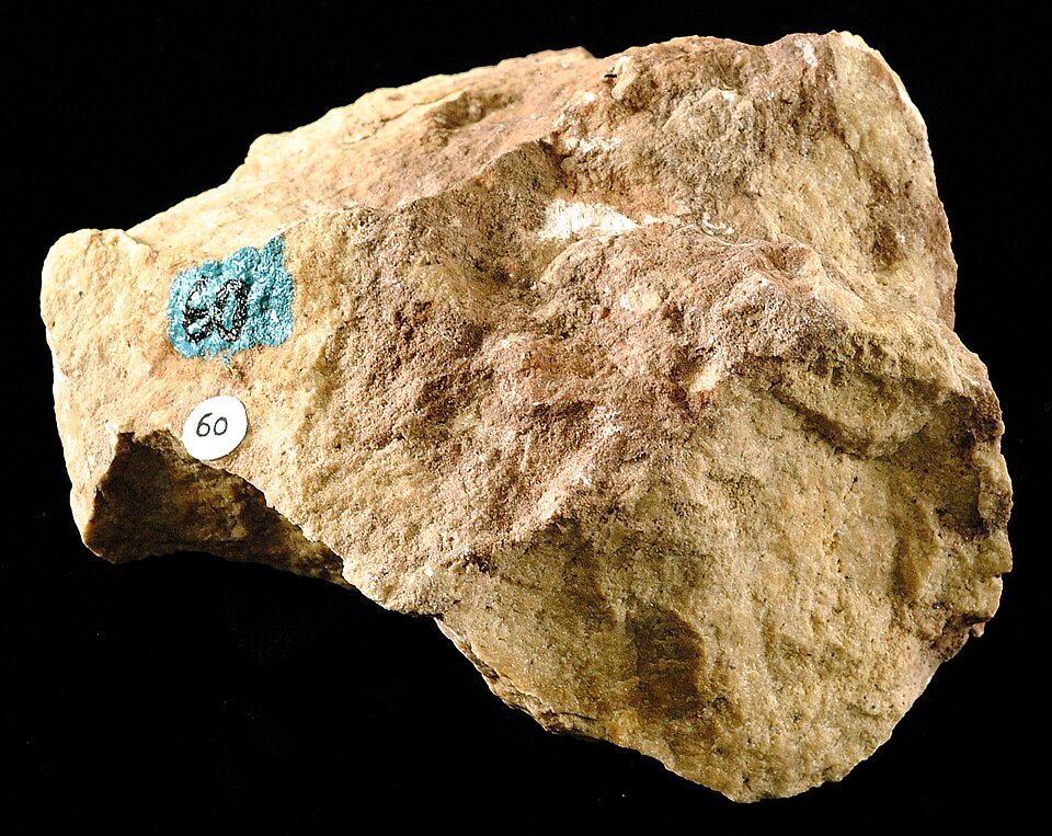 Limestone specimen