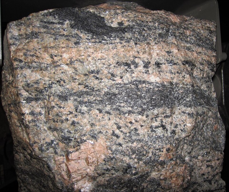 Migmatite specimen