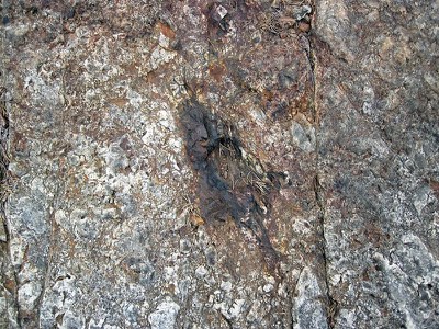 Mudstone