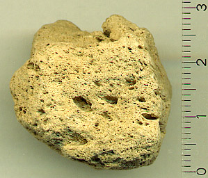 Pumice specimen