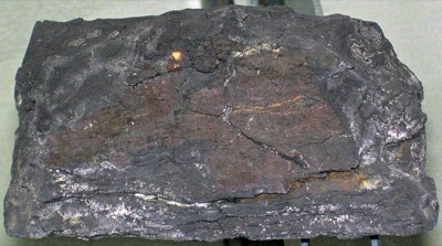 Shale
