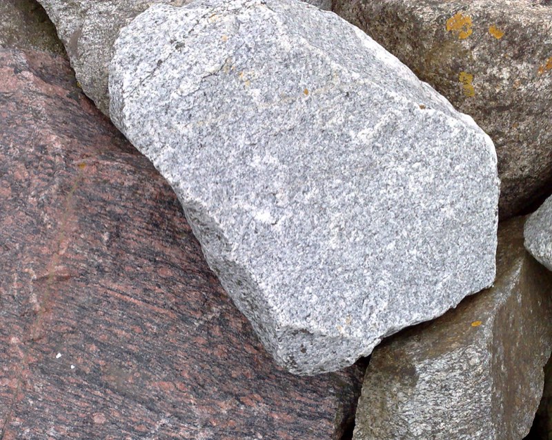 Tonalite specimen